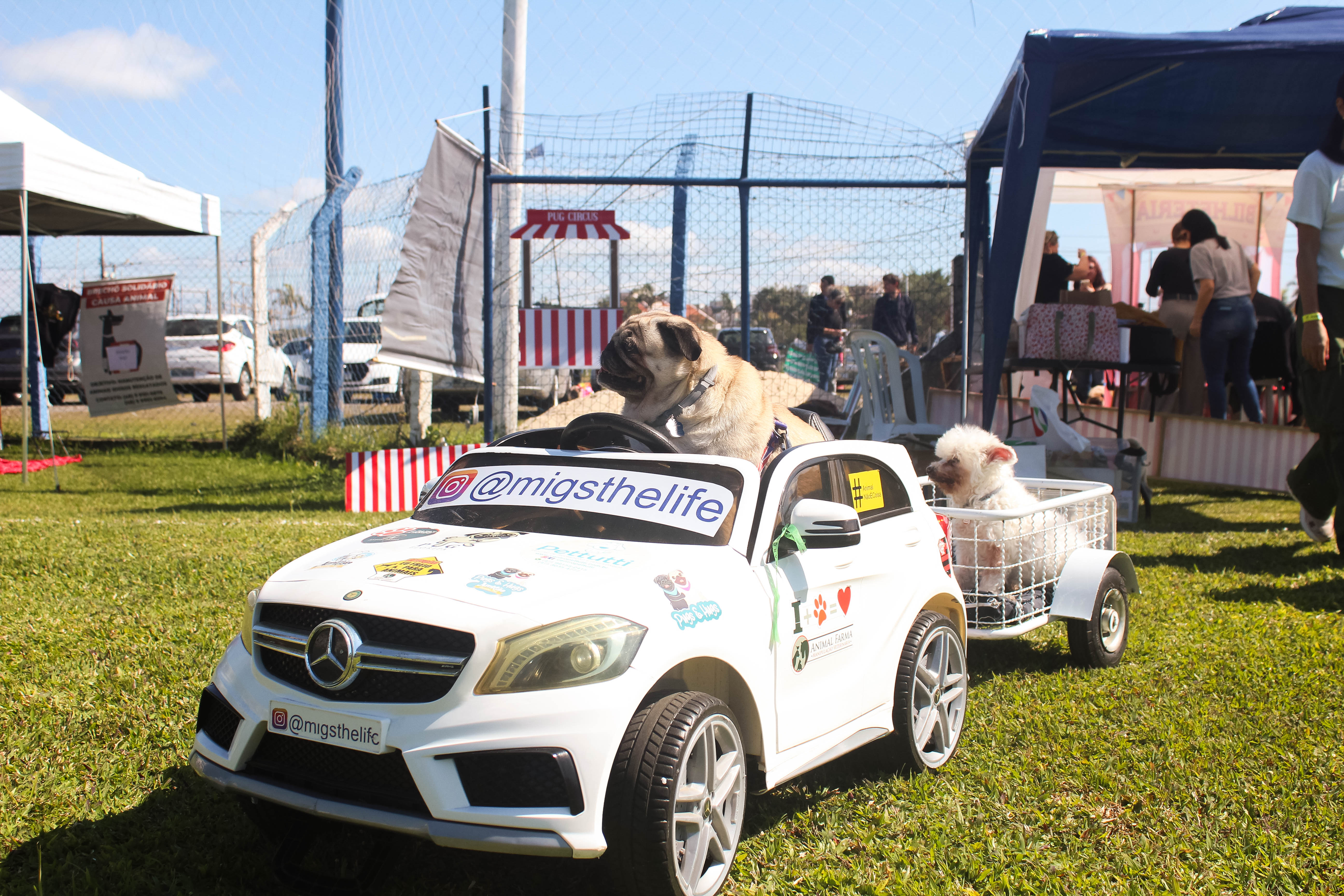Foto do Pugnic 2025