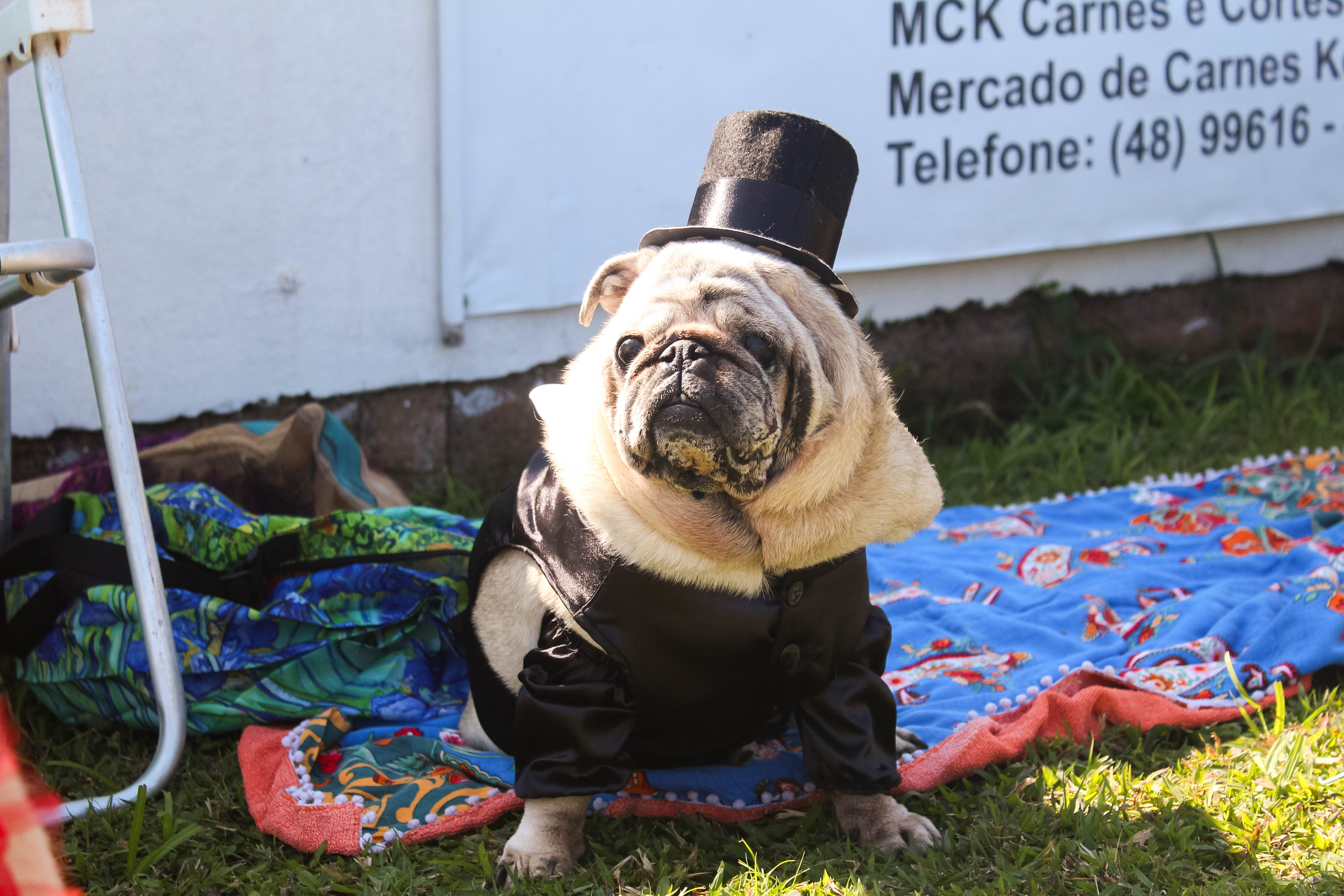 Foto do Pugnic 2025