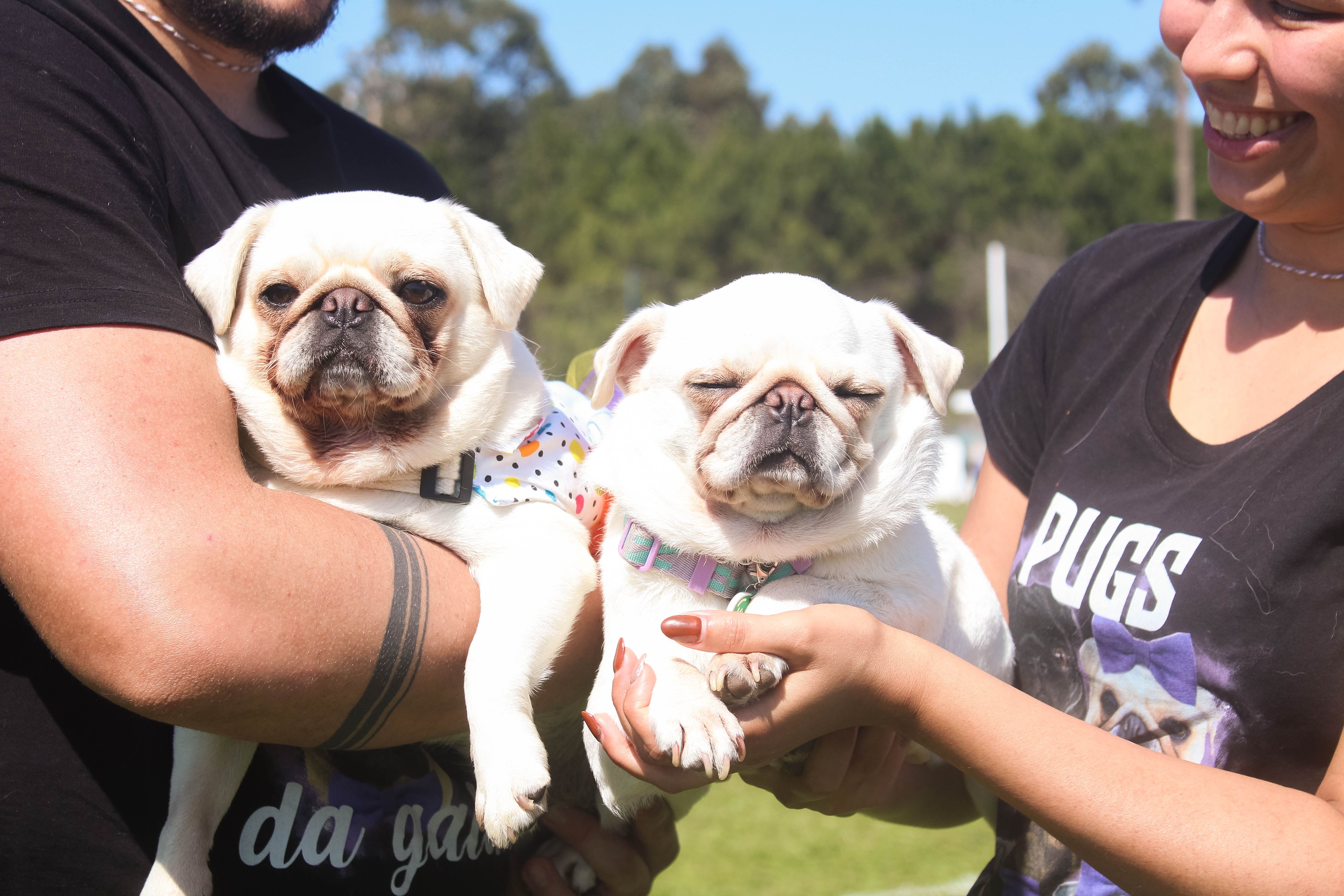 Foto do Pugnic 2025