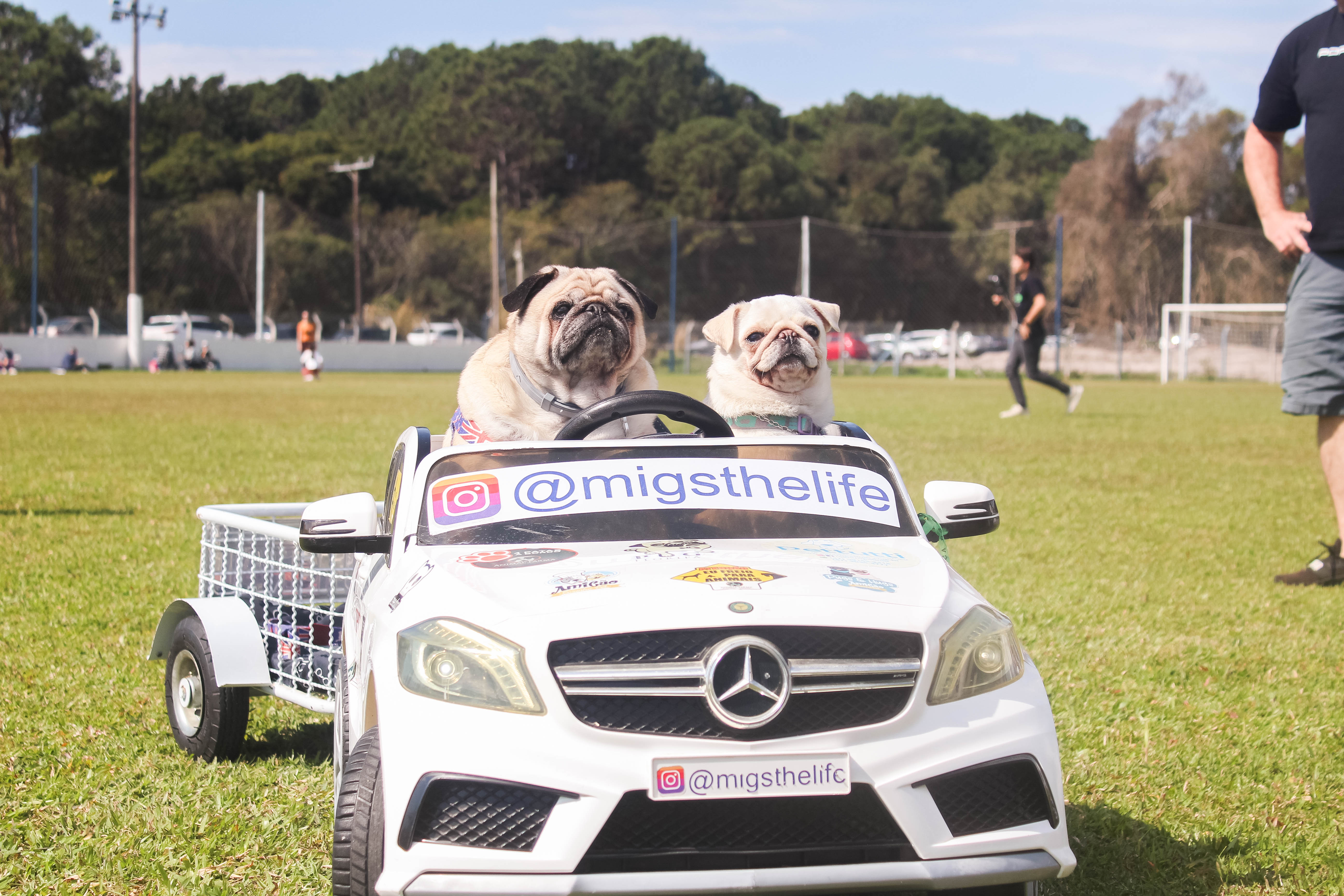 Foto do Pugnic 2025