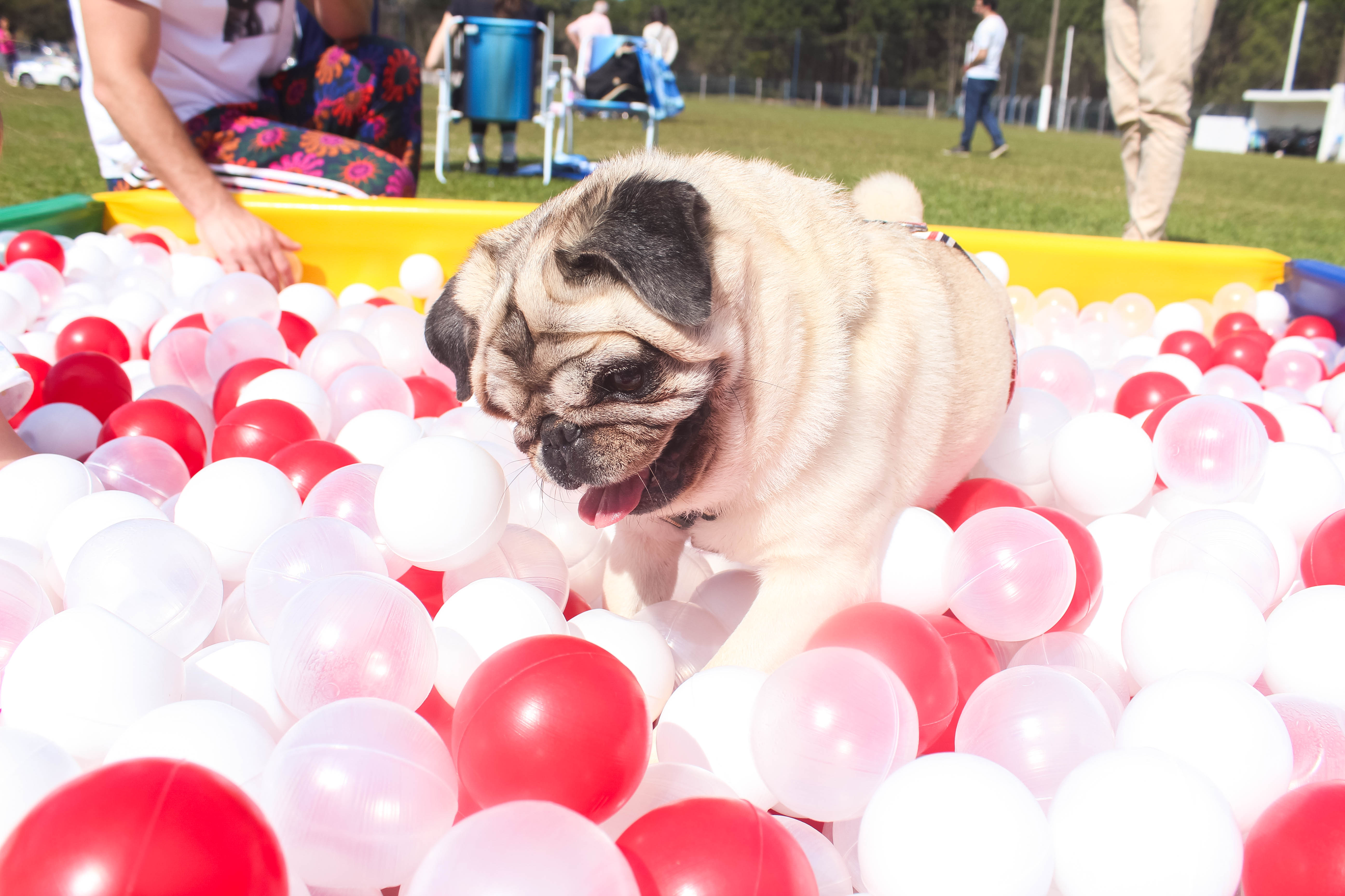 Foto do Pugnic 2025