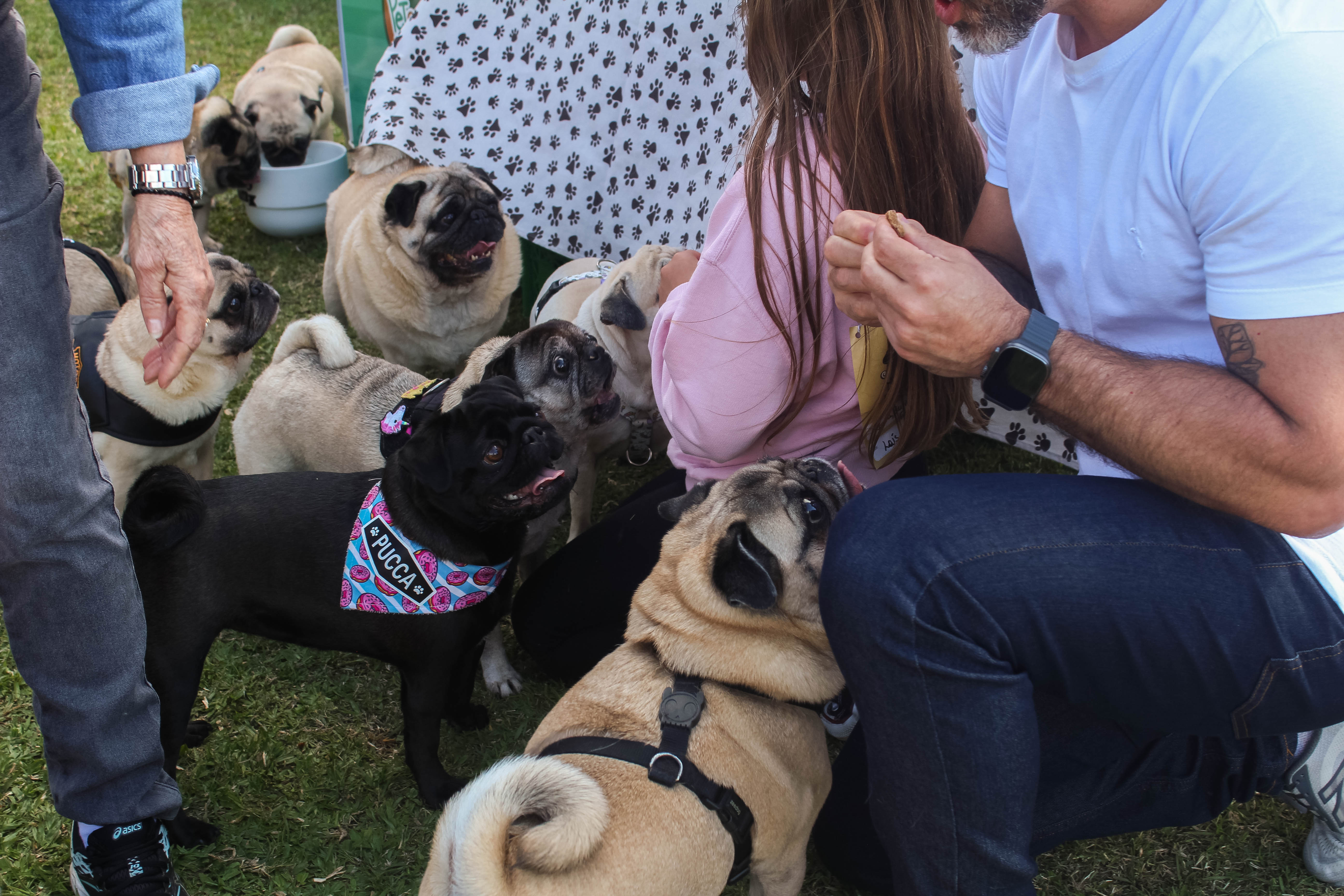 Foto do Pugnic 2025