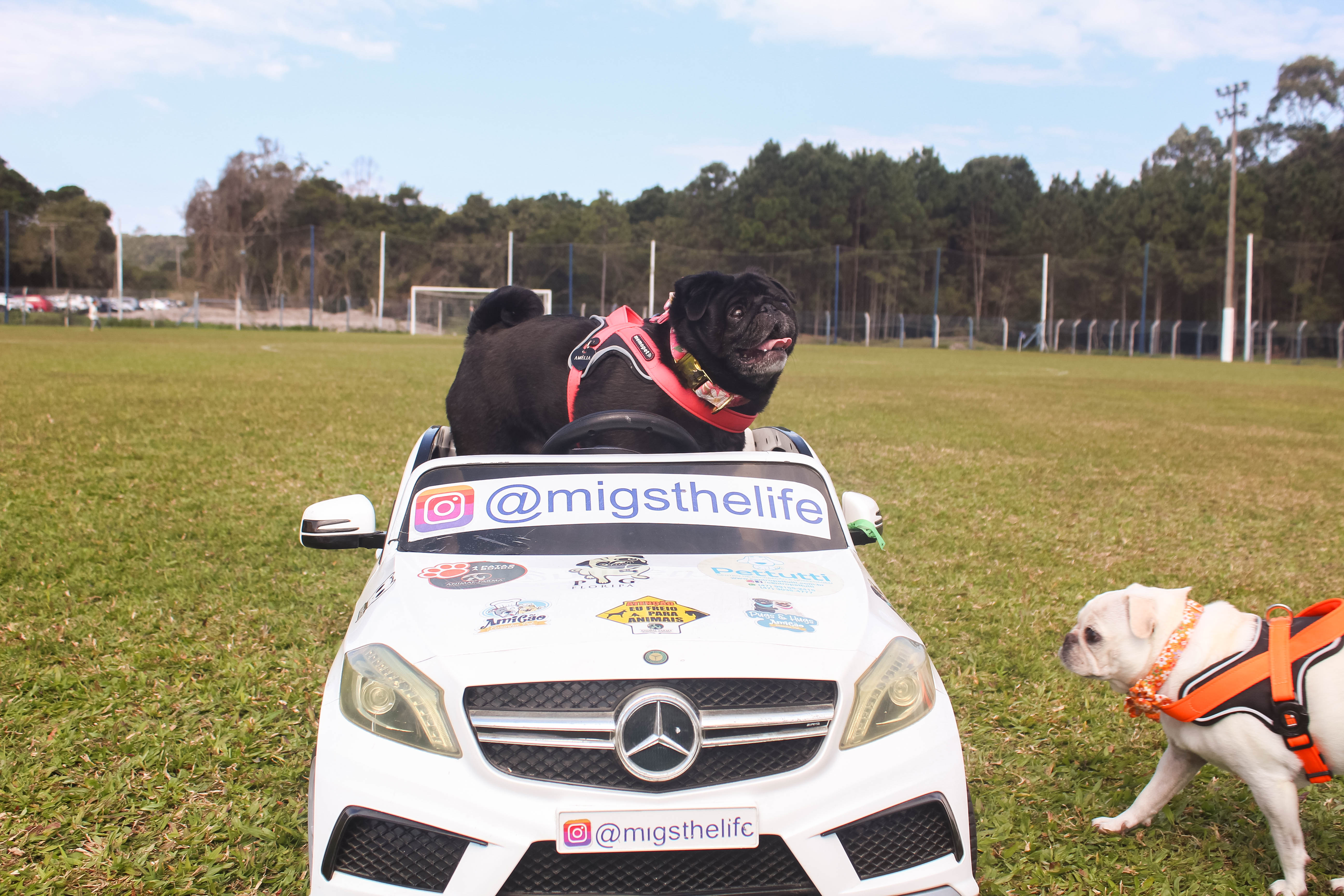 Foto do Pugnic 2025