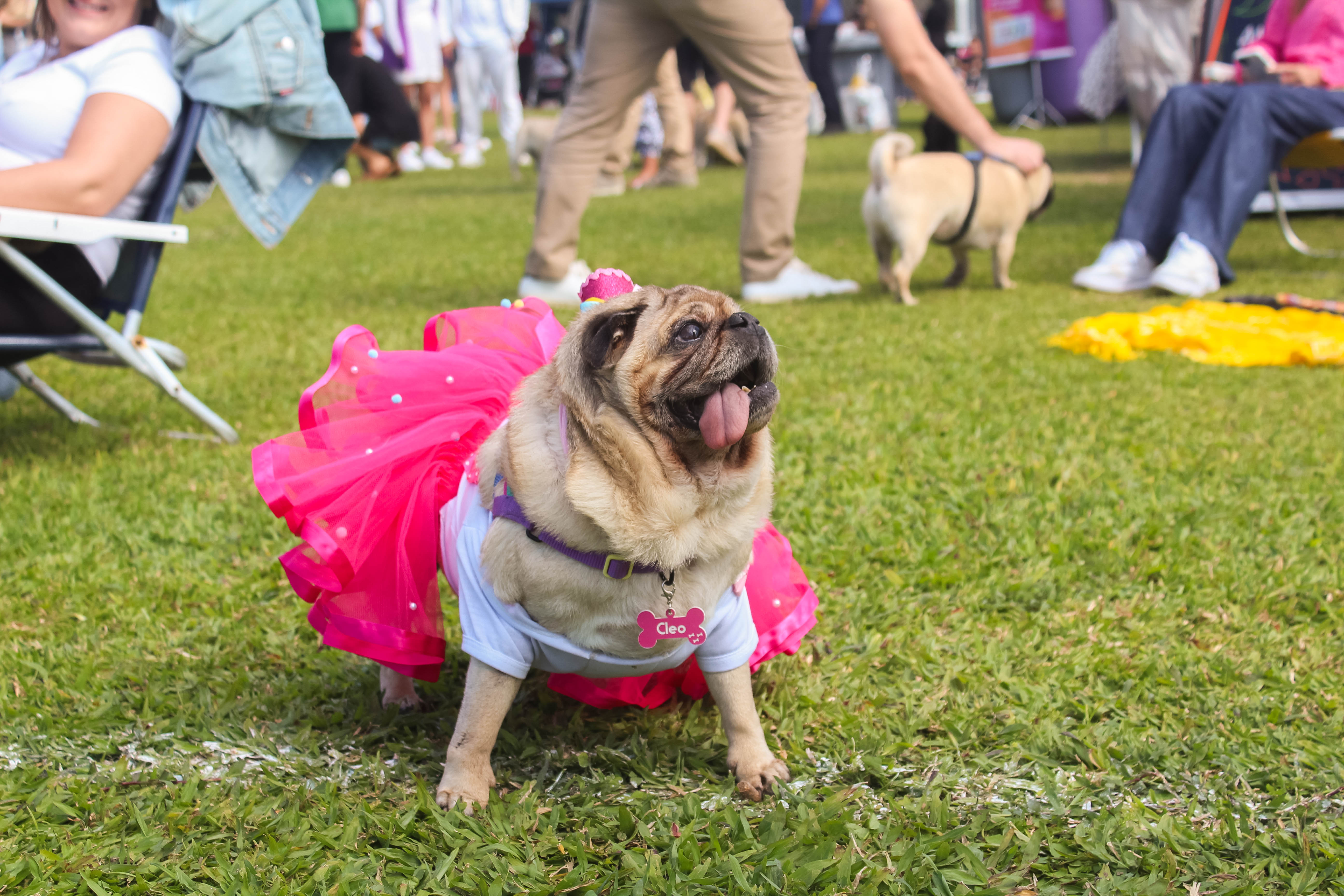 Foto do Pugnic 2025