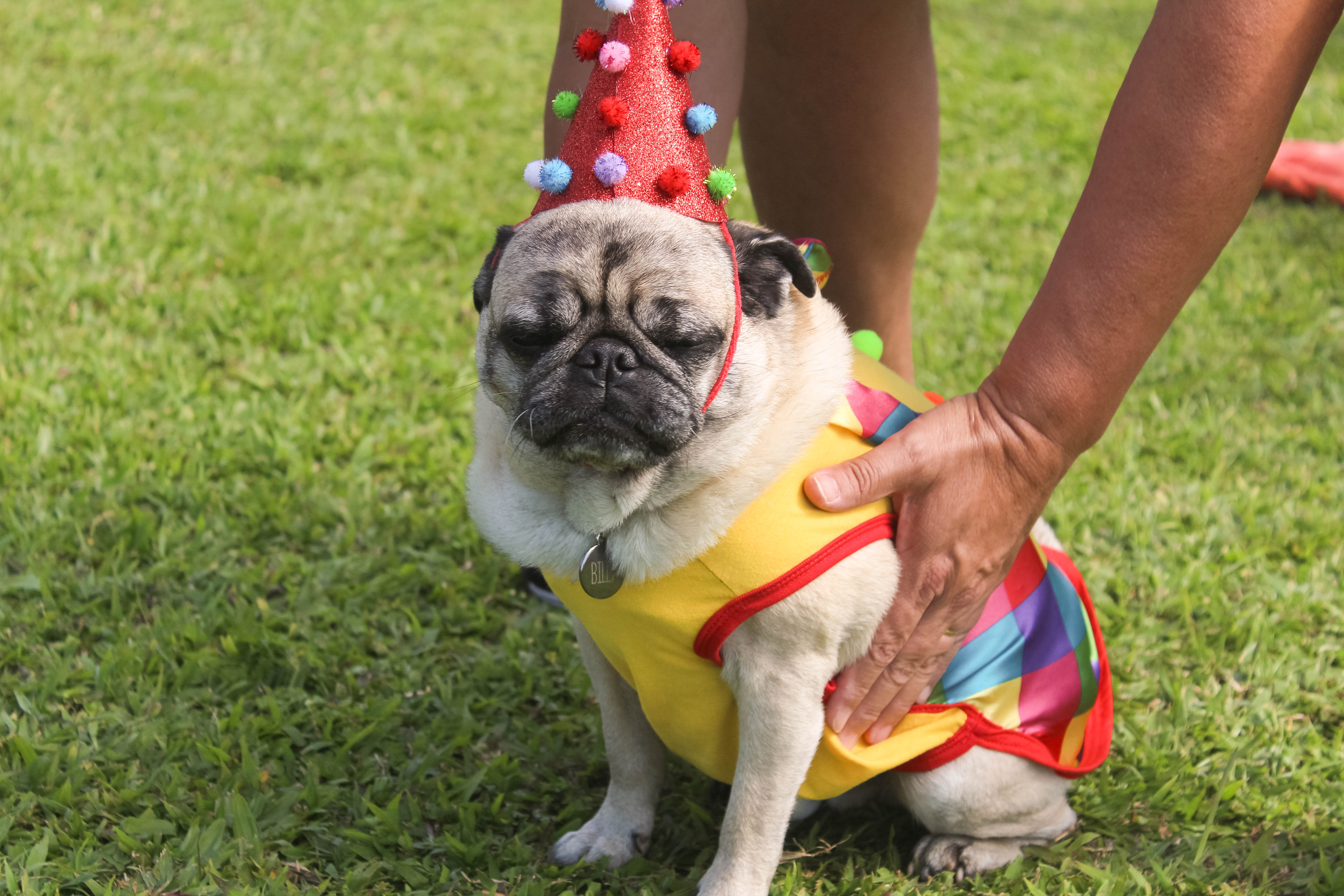 Foto do Pugnic 2025