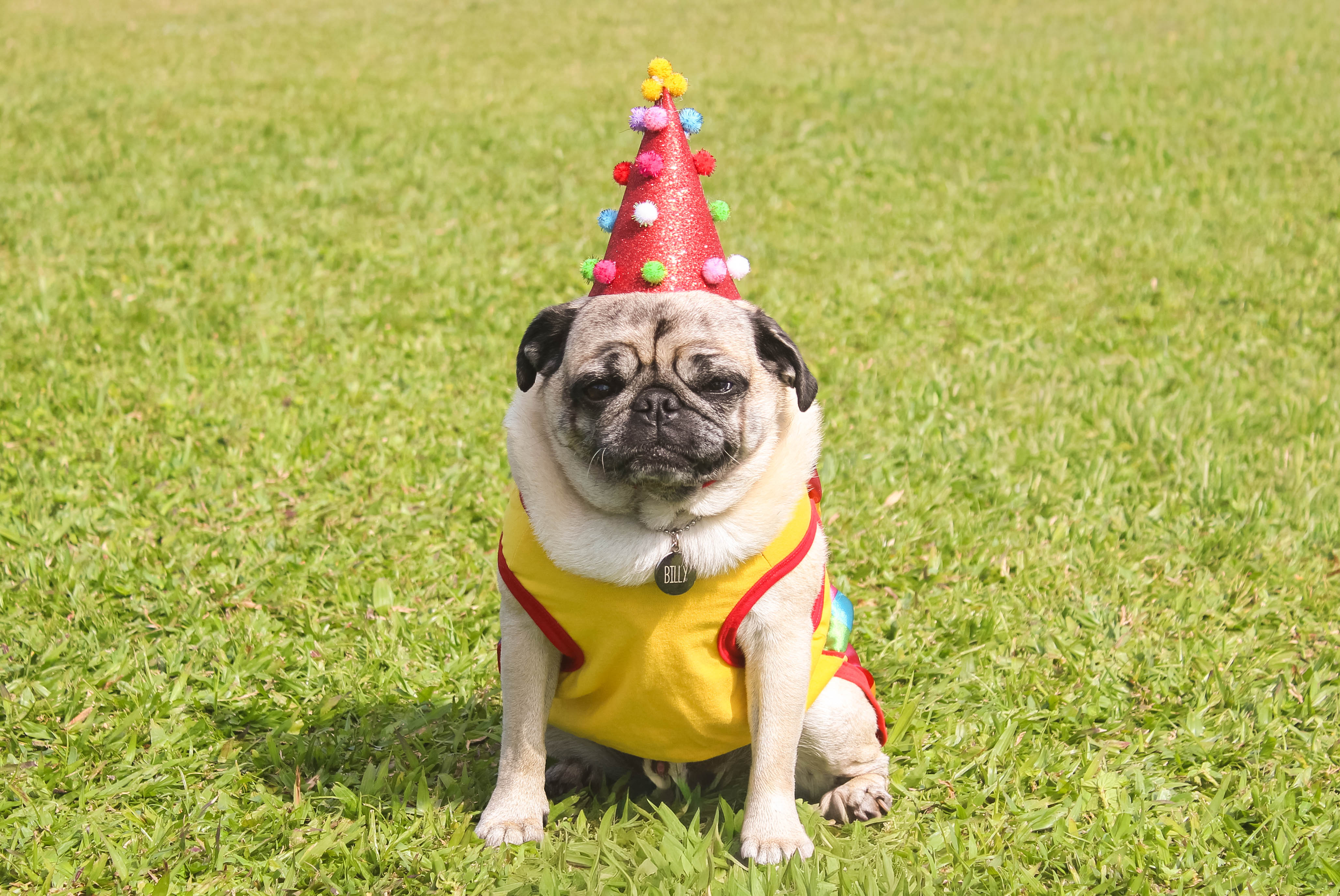 Foto do Pugnic 2025