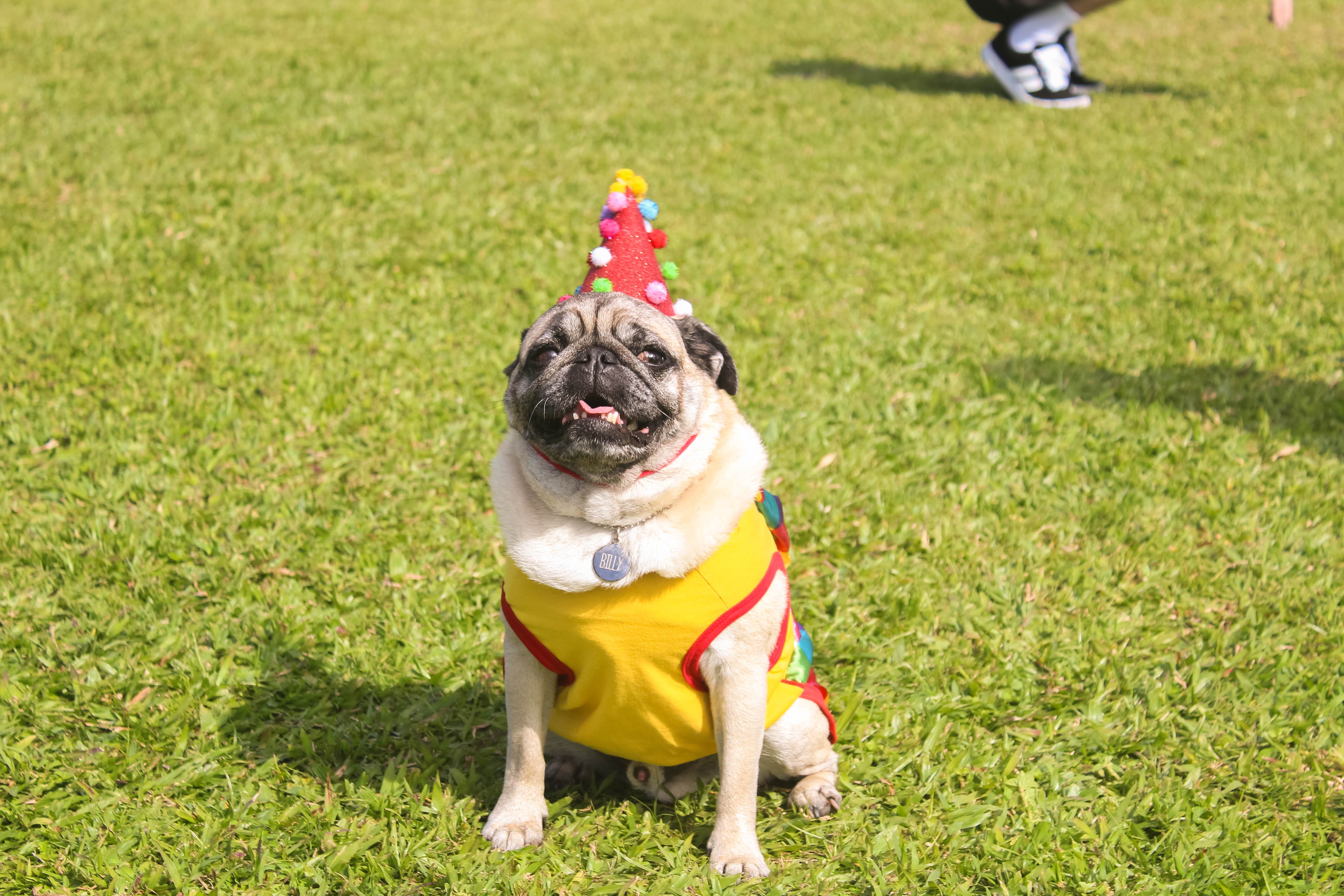 Foto do Pugnic 2025
