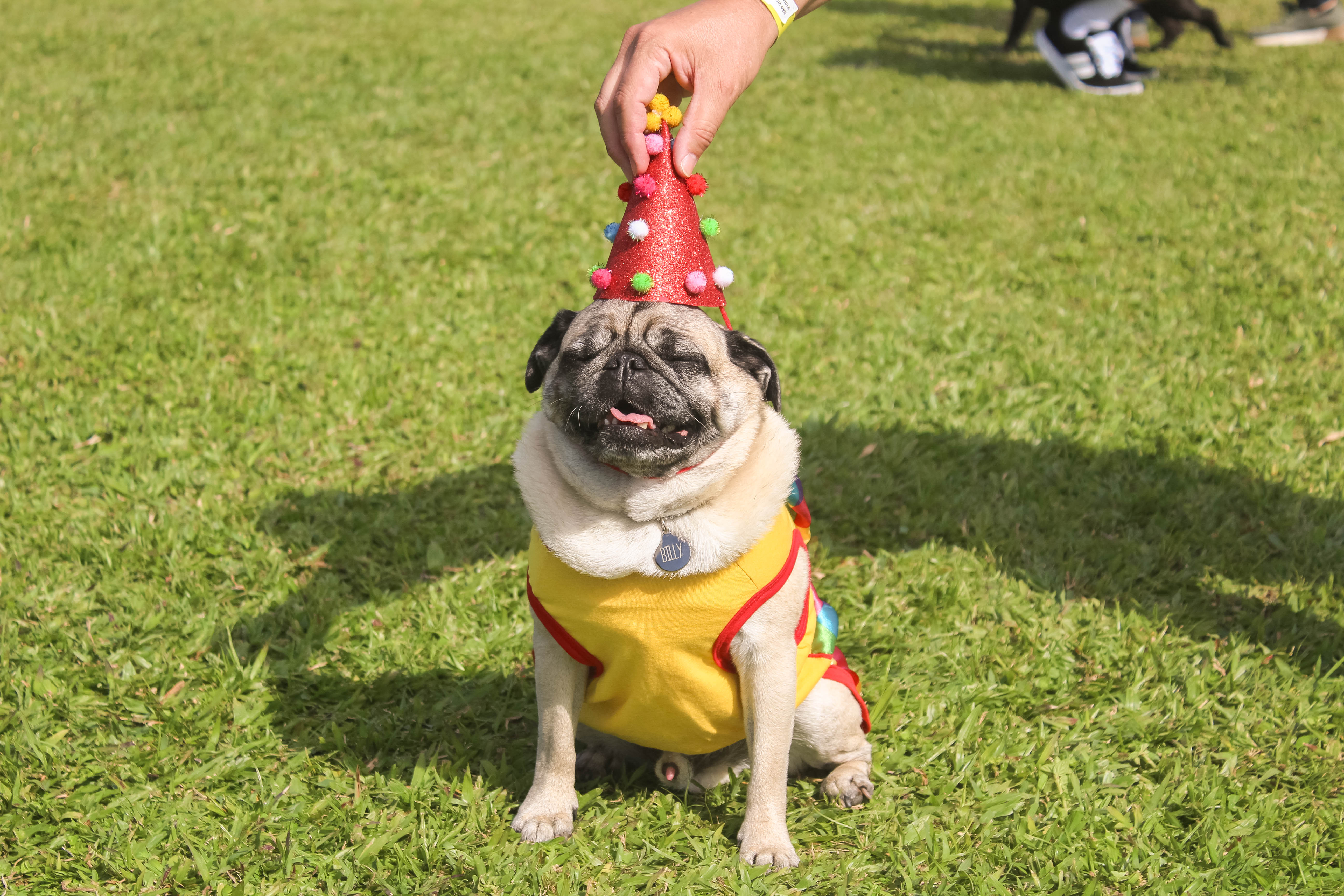 Foto do Pugnic 2025