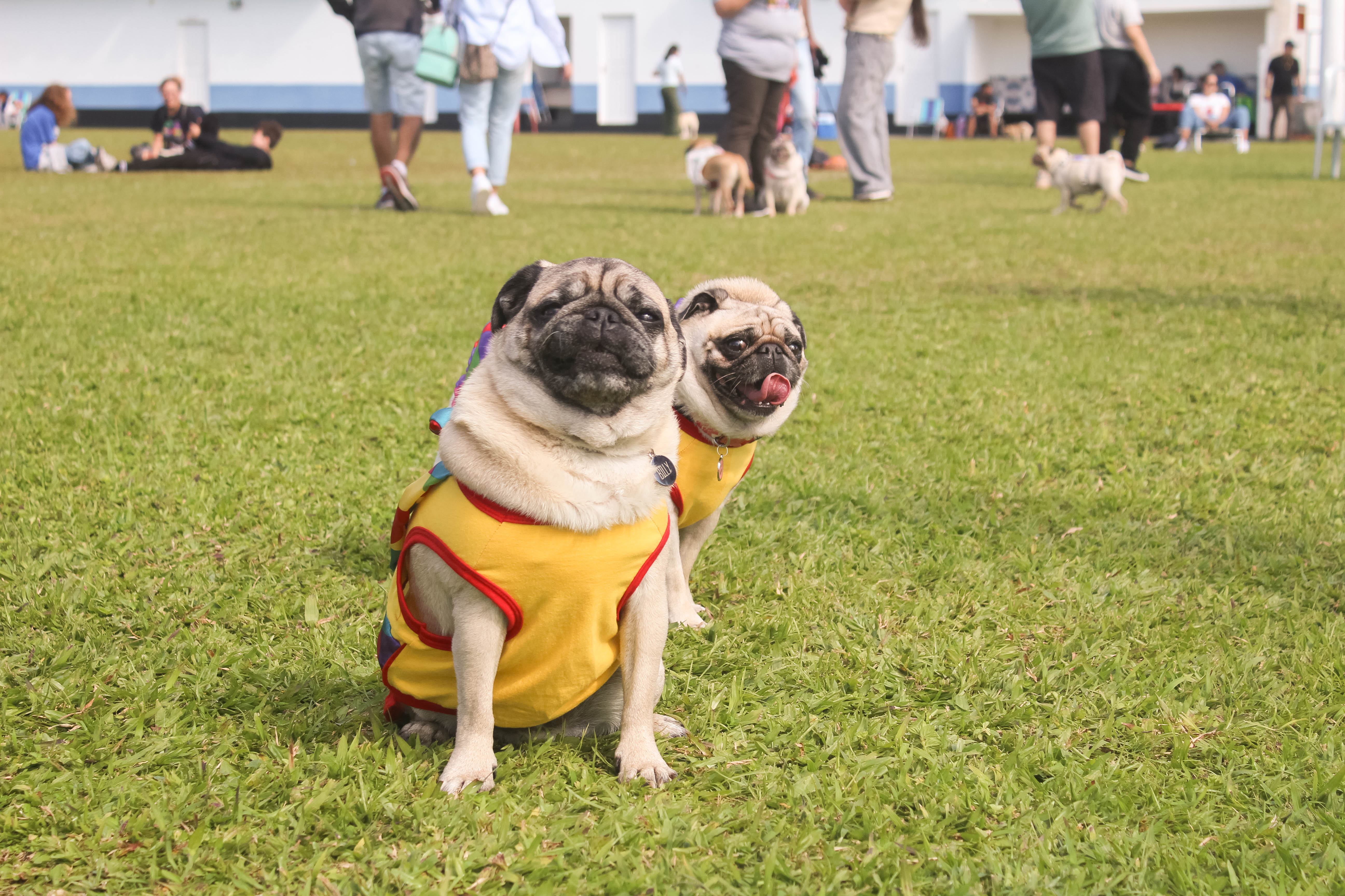 Foto do Pugnic 2025