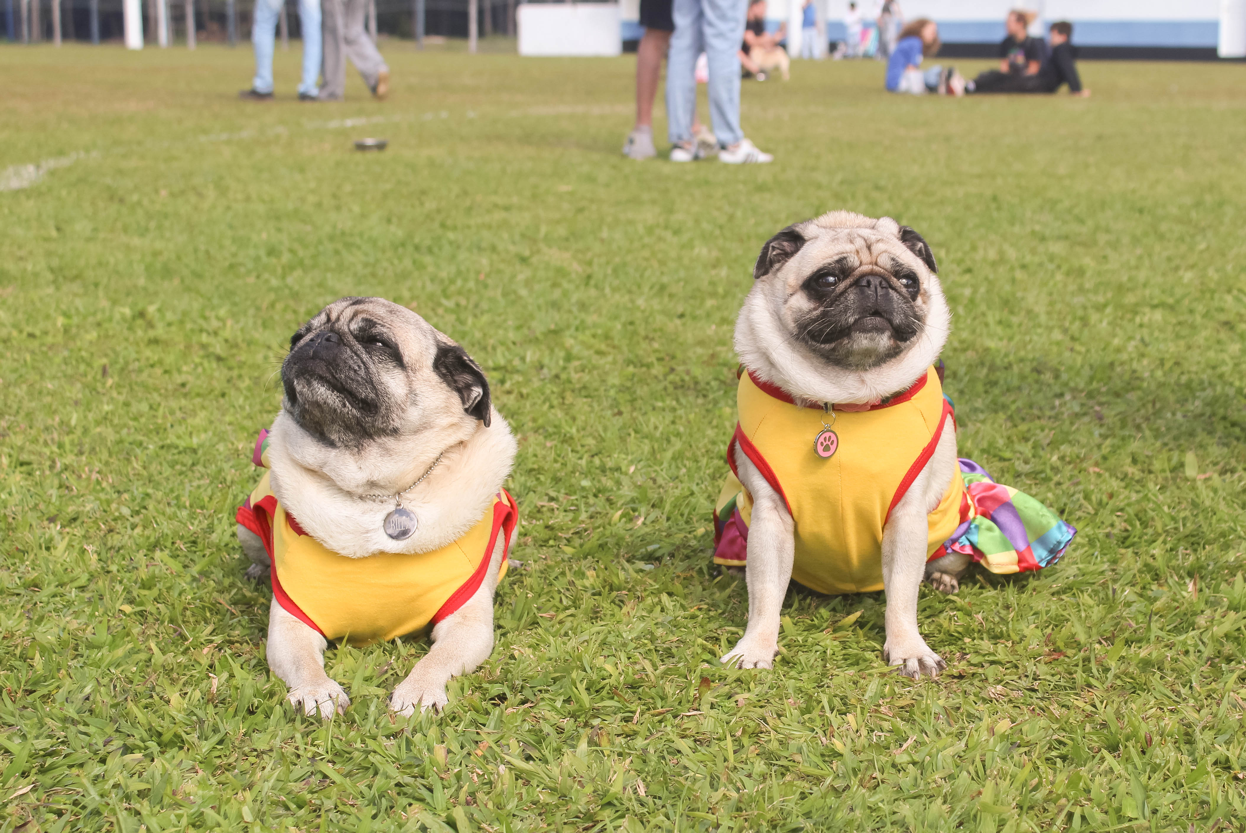 Foto do Pugnic 2025