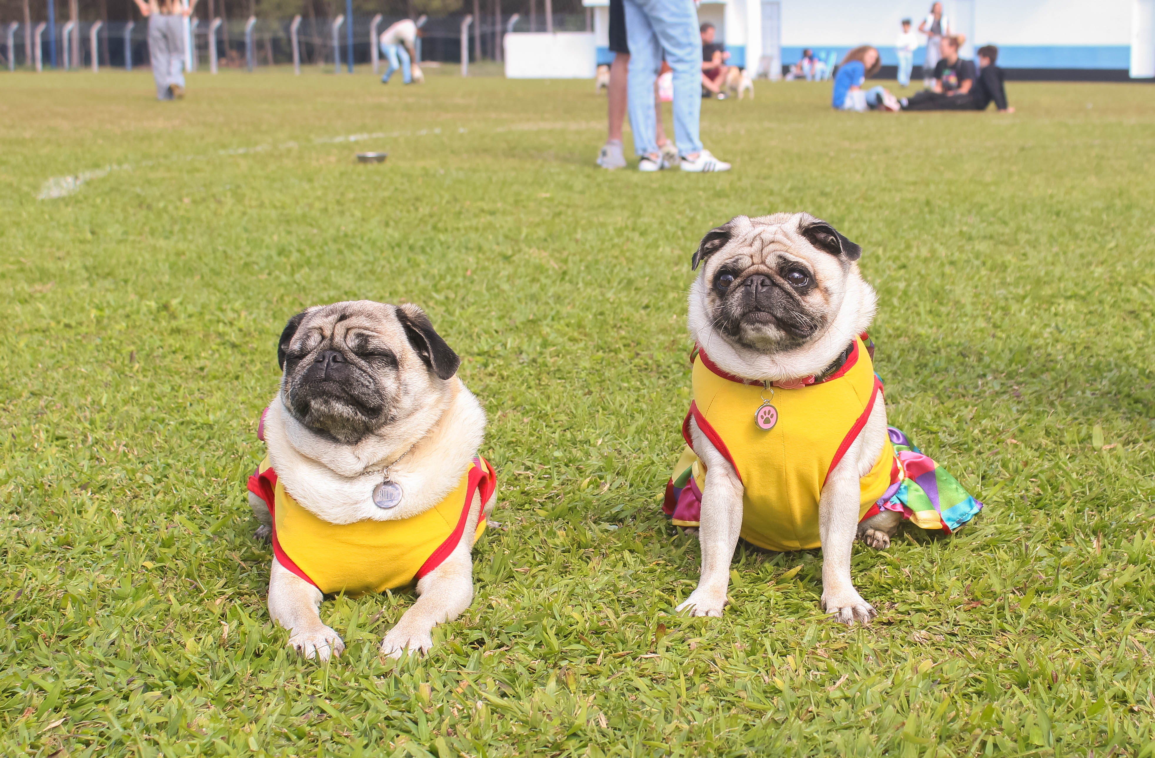 Foto do Pugnic 2025