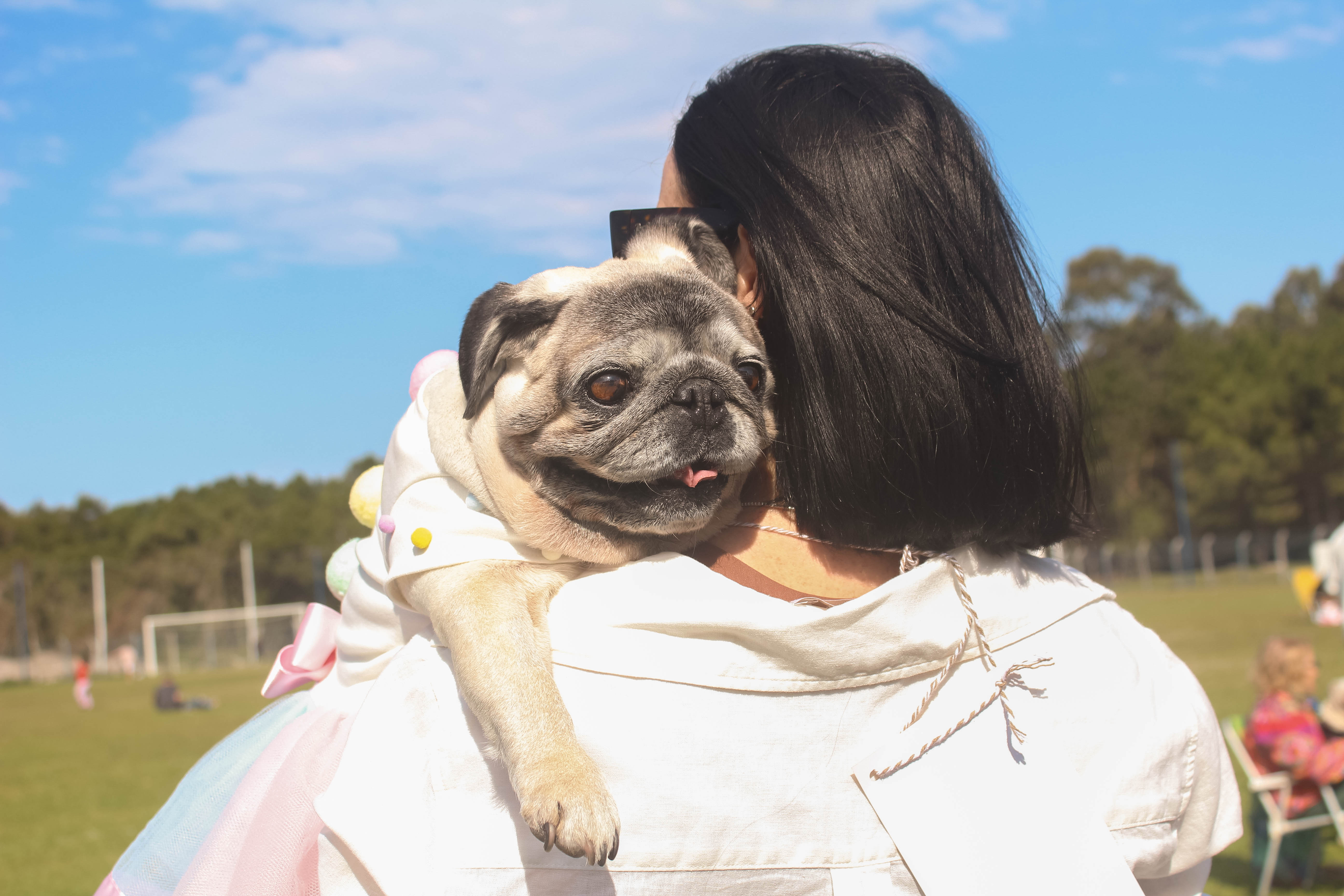 Foto do Pugnic 2025