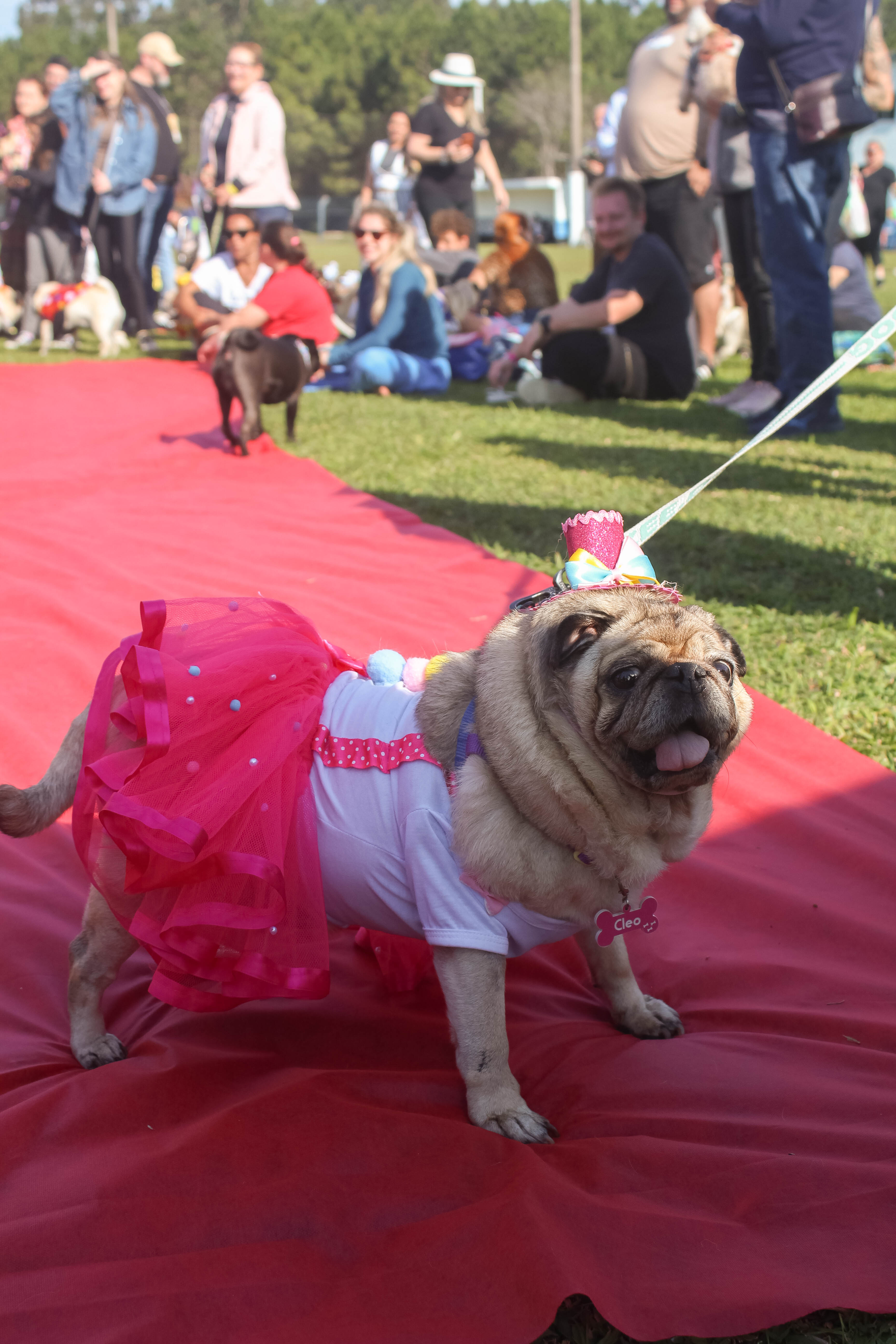 Foto do Pugnic 2025