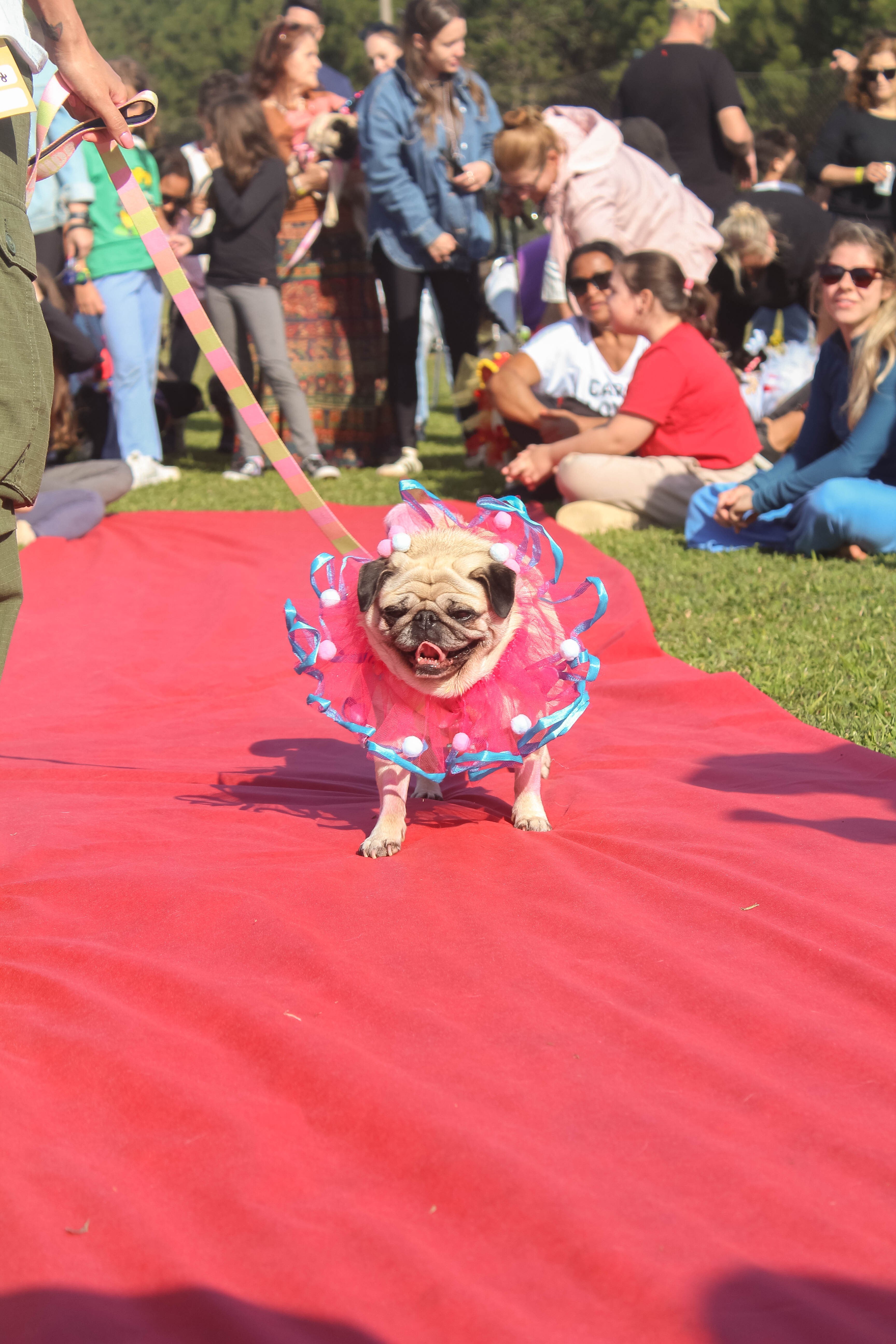 Foto do Pugnic 2025