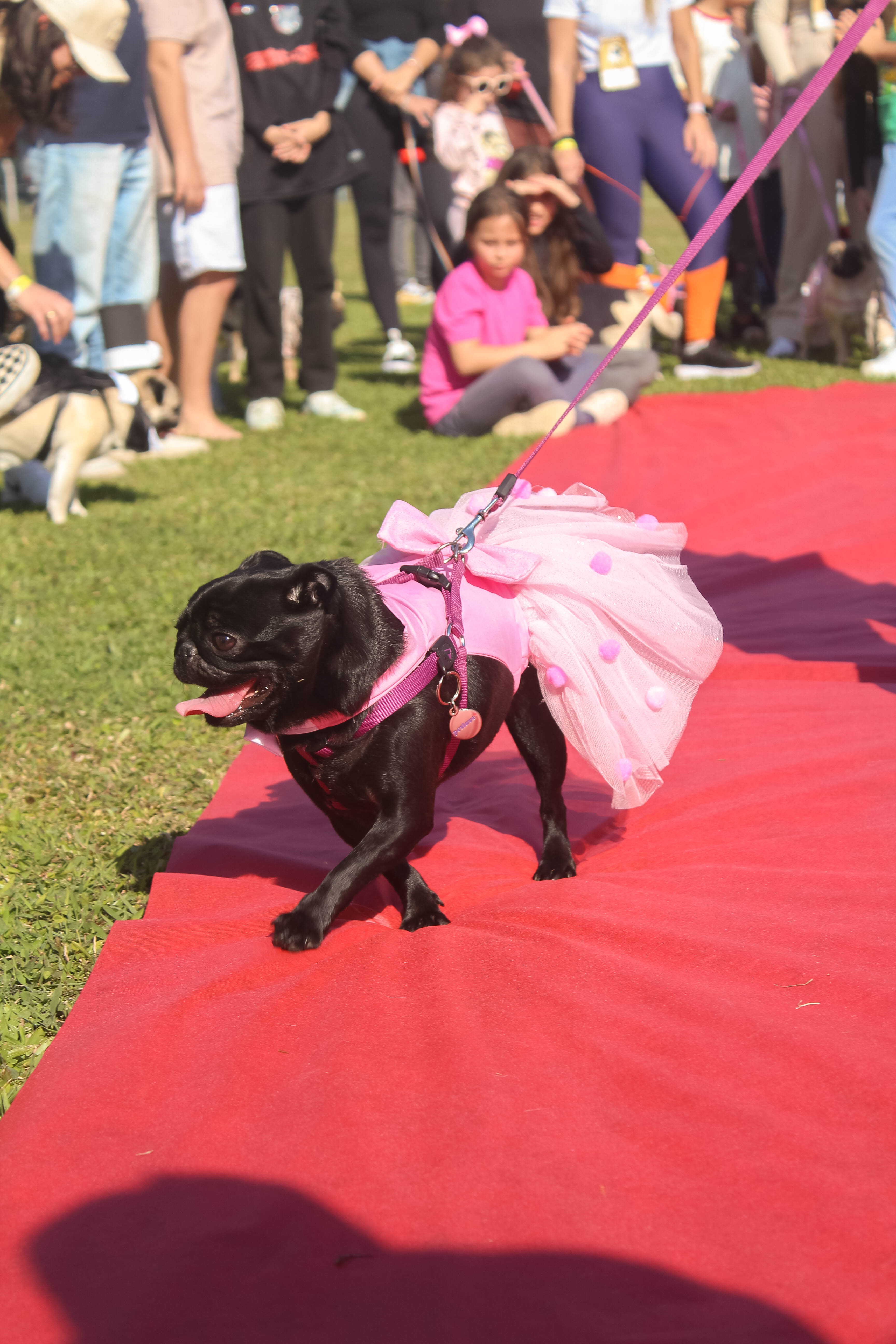 Foto do Pugnic 2025