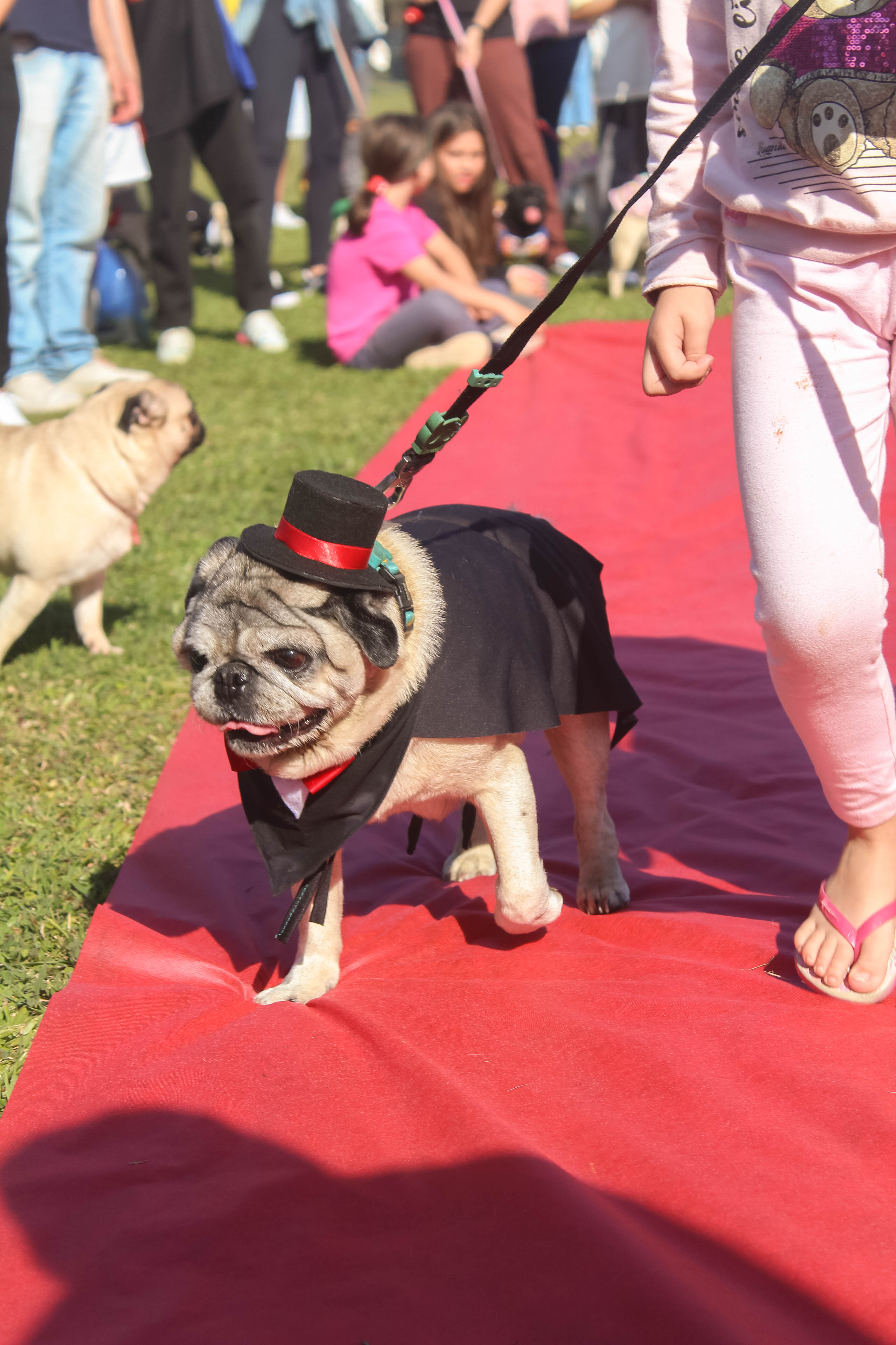 Foto do Pugnic 2025
