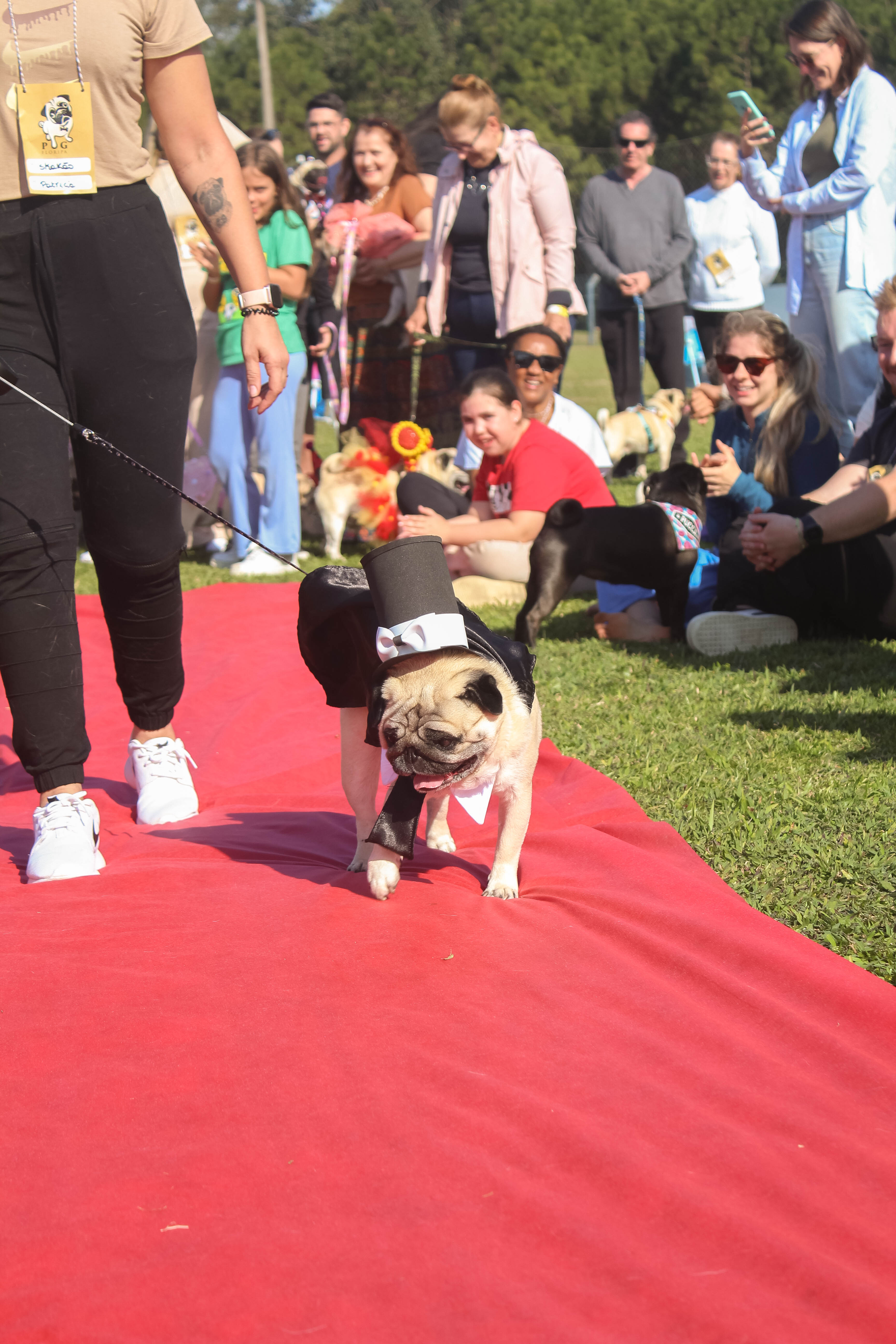 Foto do Pugnic 2025