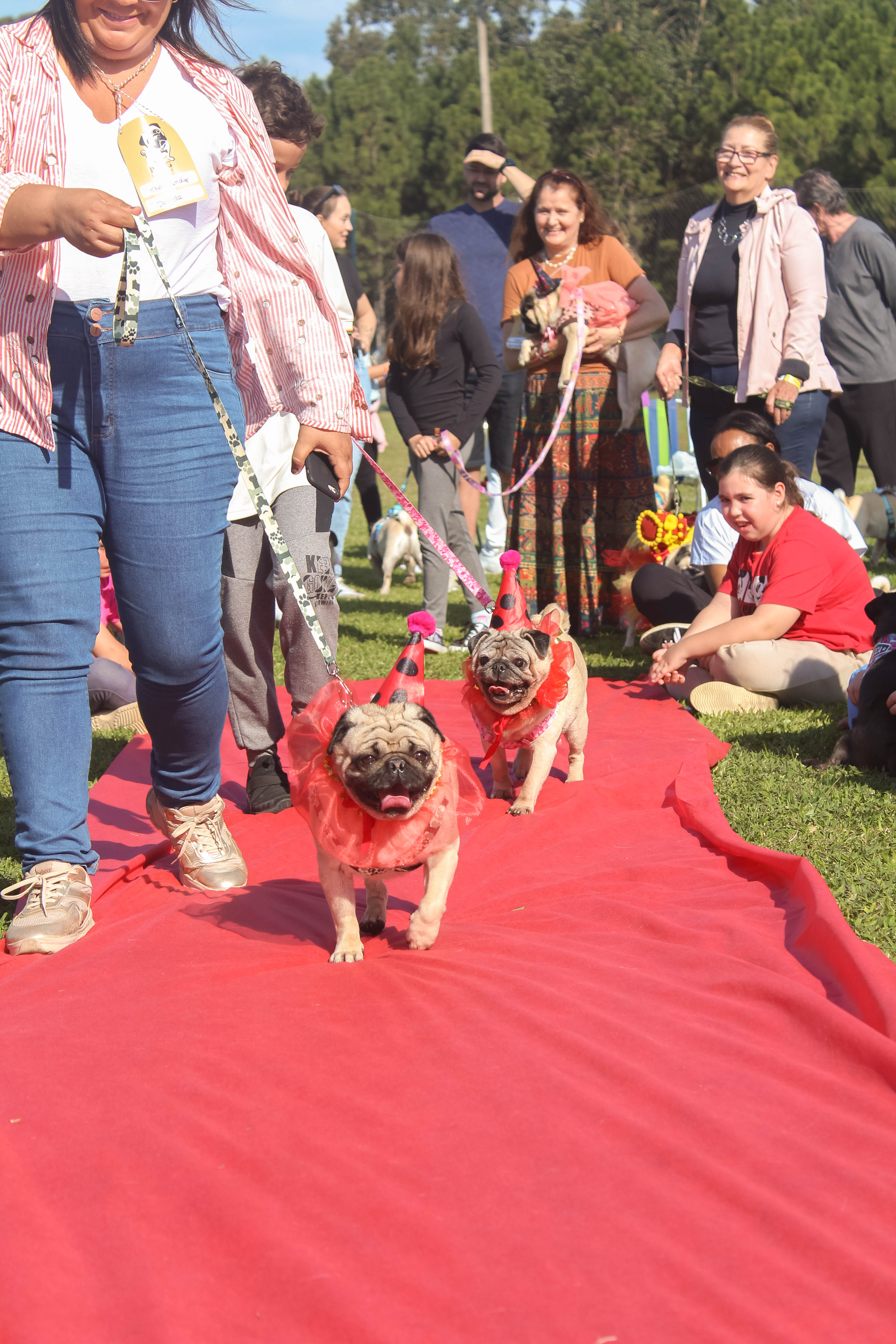 Foto do Pugnic 2025