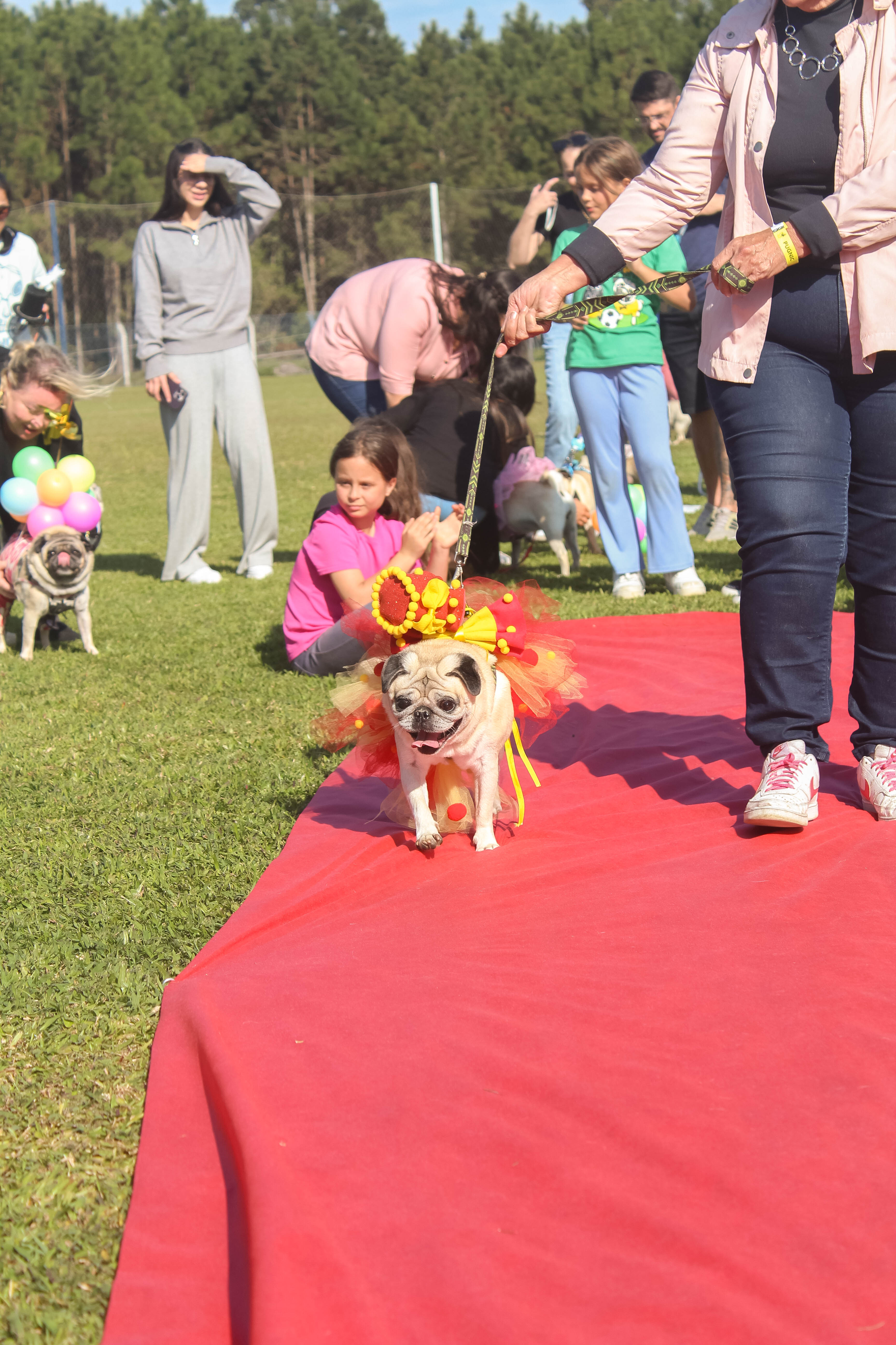 Foto do Pugnic 2025
