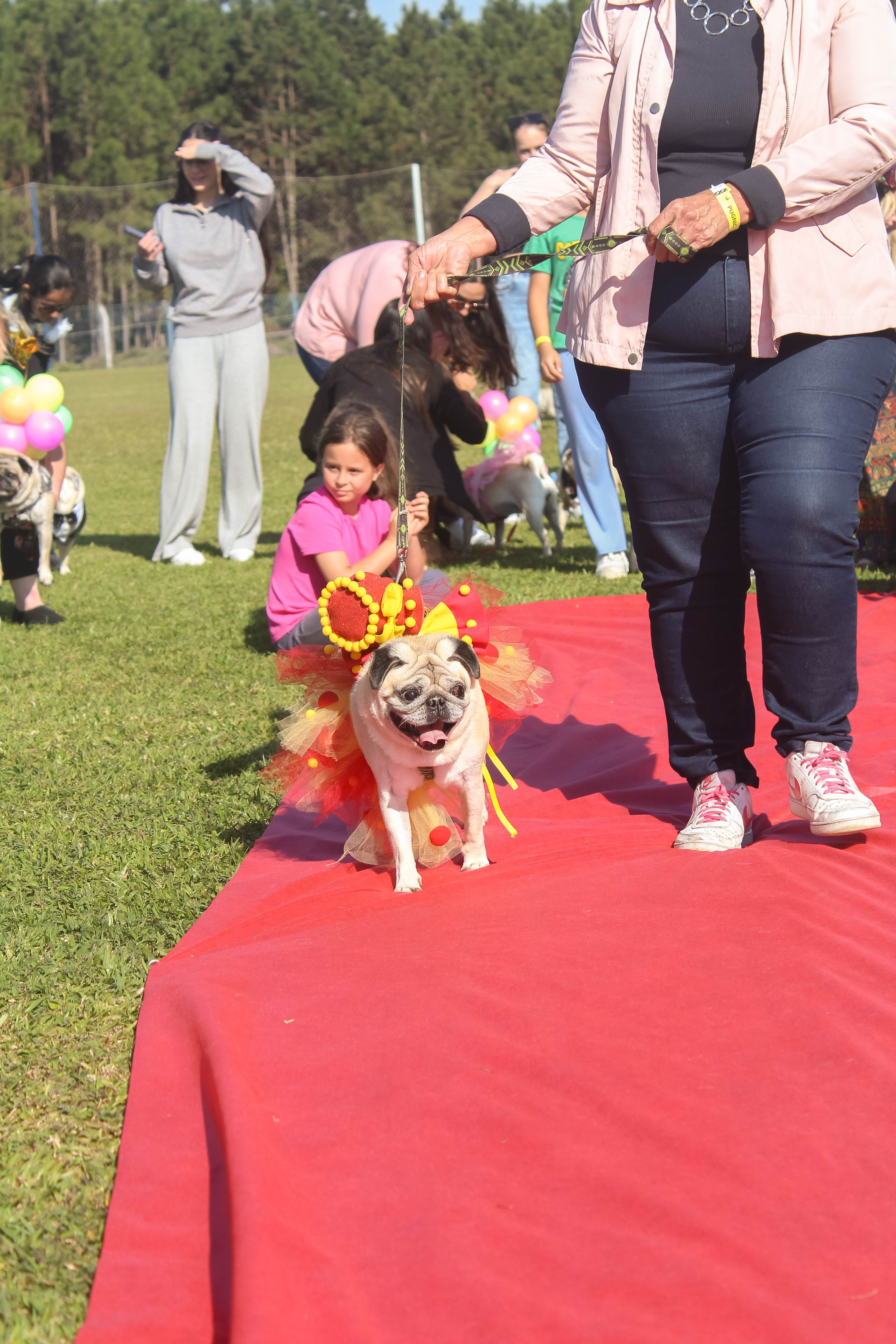 Foto do Pugnic 2025