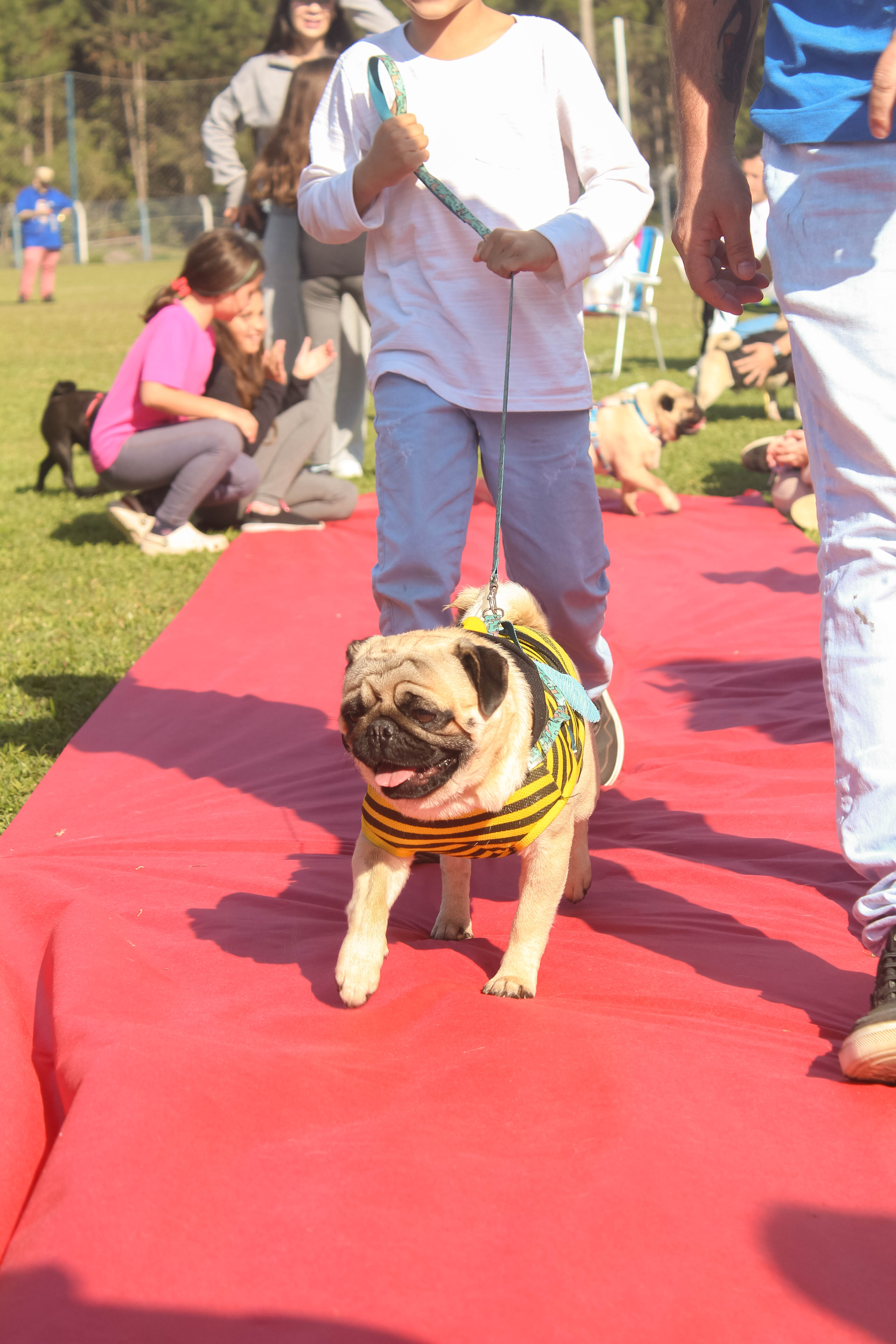 Foto do Pugnic 2025